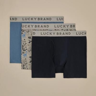 Lucky Brand 3 Pack Stretch Boxer Briefs - Men's Accessories Underwear Boxers Briefs, Size S
