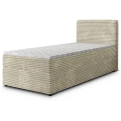 BOXBETT PISA 100 100x200 cm mit Matratze und Topper, H2+H3 - Creme
