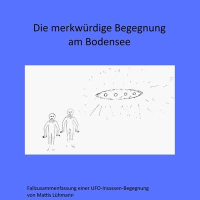 Die merkwürdige Begegnung am Bodensee - Mattis Lühmann, Audio, 4061707167317