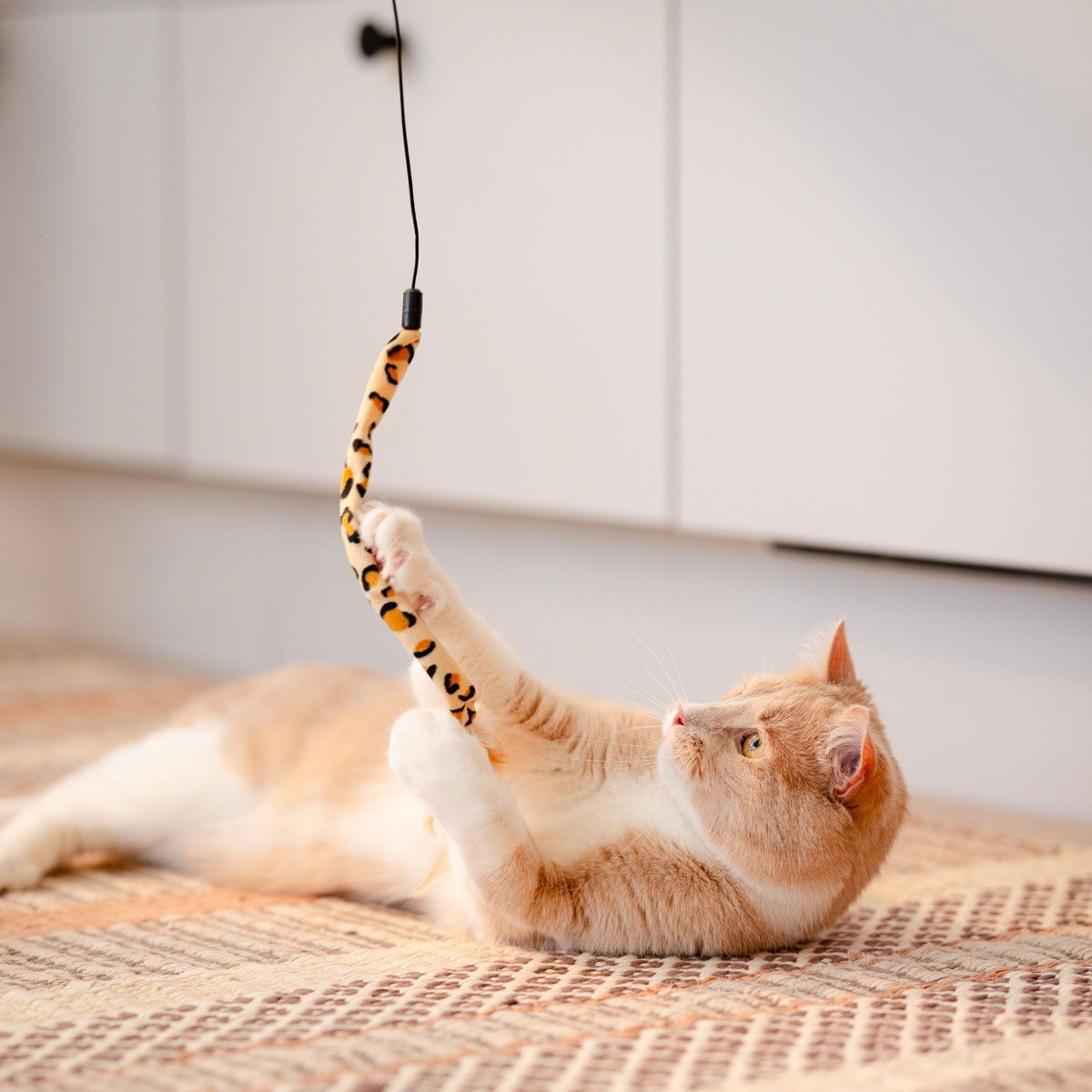 Little&bigger; Pure Purr Kattvippa Med 5 Leksaker