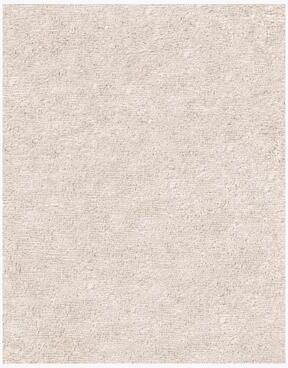 Ben Soleimani Performance Shag Handwoven Ultrifine Spun PET Rug