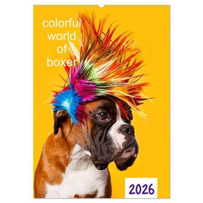 colorful world of boxer 2026 (Wandkalender 2026 DIN A2 hoch), CALVENDO Monatskalender