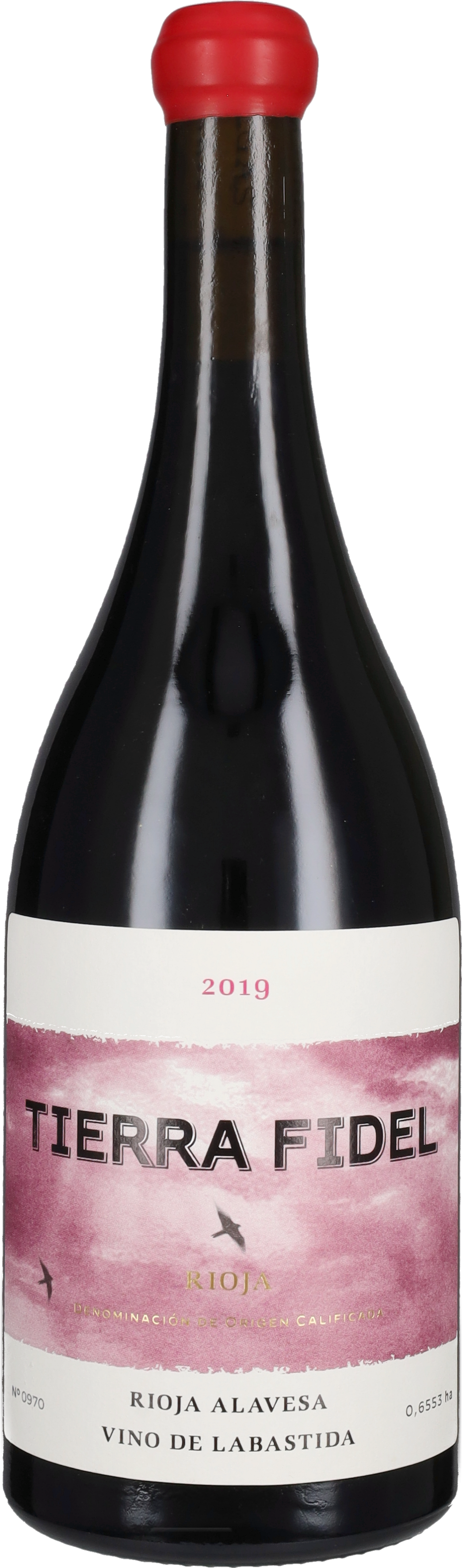Tierra Fidel Tinto Bodegas Tierra 2019