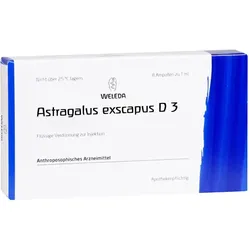Astragalus Exscapus D 3