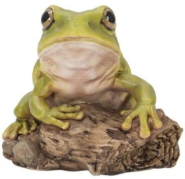 Hi-Line Gift White'S Tree Frog - Ultra Realistic Garden Statue