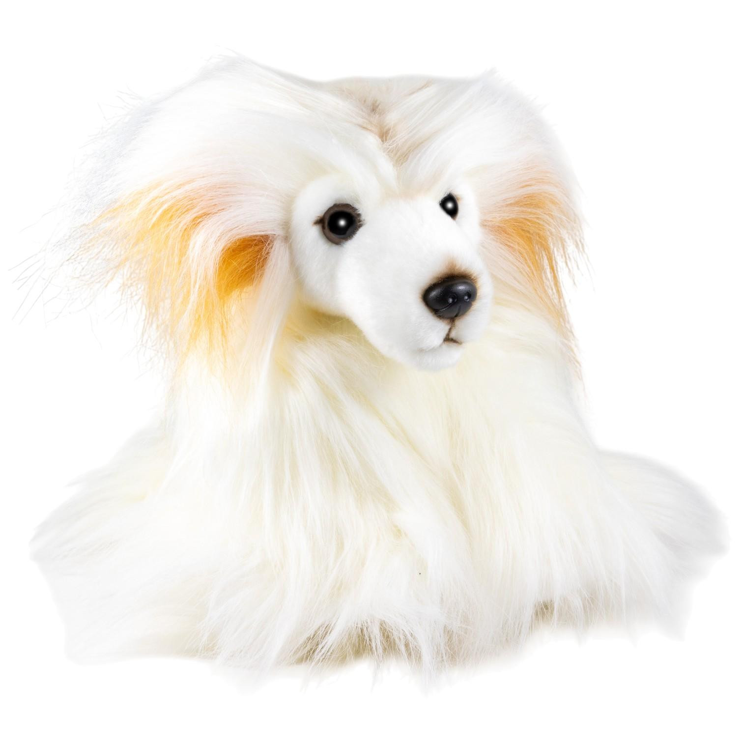 Carl Dick Chinese Schopfhund Powderpuff pluchen knuffel, 25 cm