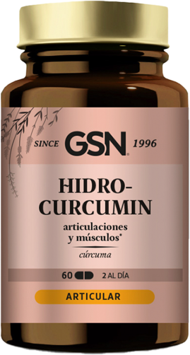 GSN Hydro curcumin 60 Comp