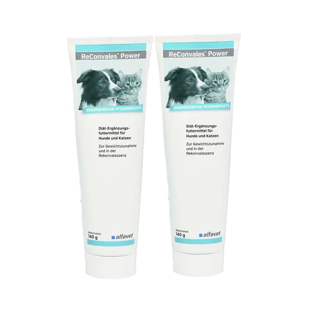 ReConvales Power Doppelpack 2x140 g Paste