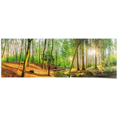 Poster REINDERS "Sonniger Wald", grün (farbe bild(er): grün), B:158cm H:53cm T:0,1cm, Papier, Bilder, Poster