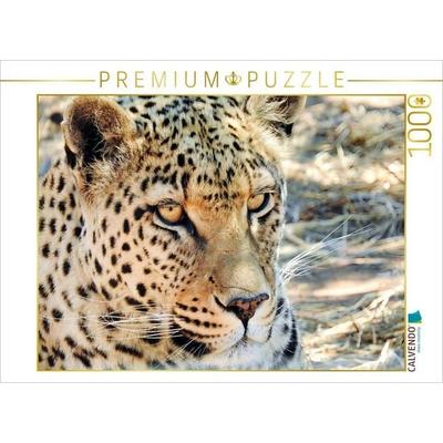 CALVENDO Puzzle Leopard in der Kalahari | 1000 Teile Lege-Größe 64x48cm Foto-Puzzle für glückliche Stunden