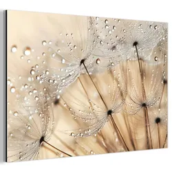 METALLBILD Löwenzahn - Abstrakt - Natur - Beige Deko Groß 120x80 cm