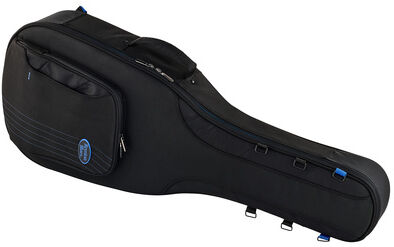 Reunion Blues Exp Small Body Acoustic Case