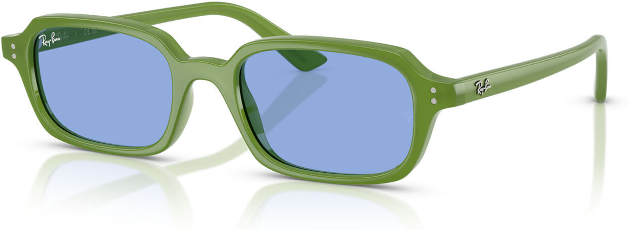 Occhiali da Sole Ray-Ban Zuri RB 4455 (681080)