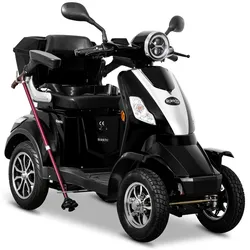 Rolektro E-Quad 25, Schwarz, 1000 Watt