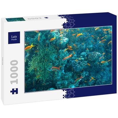 Lais Puzzle Fische 1000 Teile