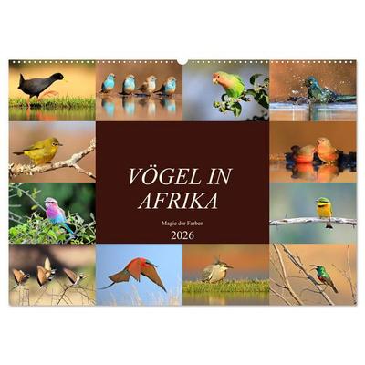 Vögel in Afrika - Magie der Farben (Wandkalender 2026 DIN A2 quer), CALVENDO Monatskalender