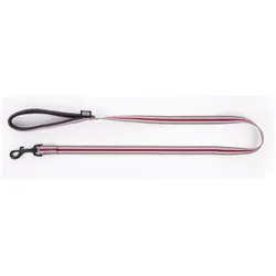 Martin Sellier L (L, Hund, Allgemein, Hundesport, Spazieren), Halsband + Leine