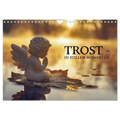 Trost - in stillen Momenten (Wandkalender 2027 DIN A4 quer), CALVENDO Monatskalender