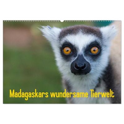 Madagaskars wundersame Tierwelt (Wandkalender 2026 DIN A2 quer), CALVENDO Monatskalender