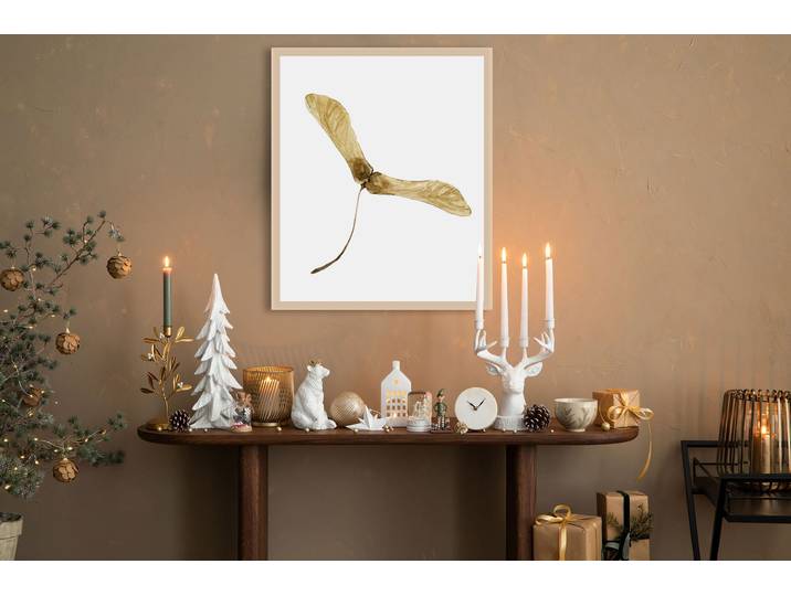 Bild mit Rahmen QUEENCE Ahornsamen , weiss (farbe rahmen: natur, farbe bild(er): weiß), B:40cm H:50cm T:1,5cm, Acrylglas, Holzrahmen, Bilder, Bild mit Rahmen, Premium Rahmenbild, liebevolle Handarbeit