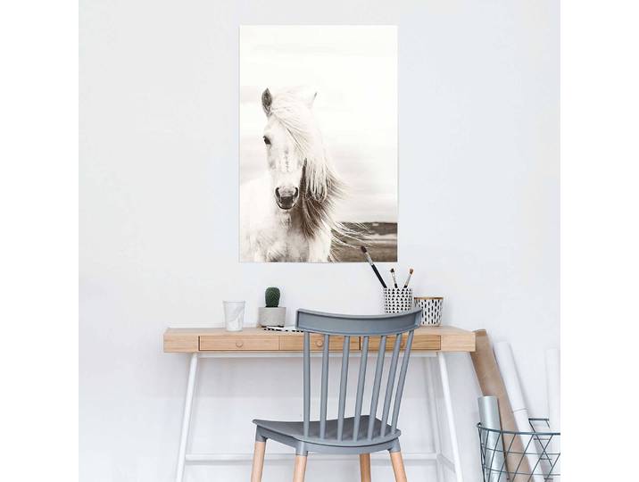 Poster Cheval blanc Papier Blanc 61 x 92 x 0cm