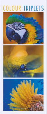 Korsch Bildkalender Colour Triplets 2027, Hochkant-Format, Fotos mit Detailaufnahmen, B 285 x T 5 x H 690 mm, farbig