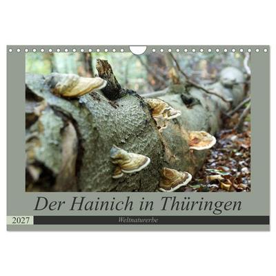 Der Hainich in Thüringen - Weltnaturerbe (Wandkalender 2027 DIN A4 quer), CALVENDO Monatskalender