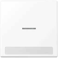 Jung Wippe 1-fach LS 990 NAKO5 WWM