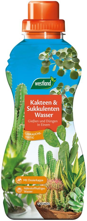 Westland Kakteen- & Sukkulenten Wasser 720 ml