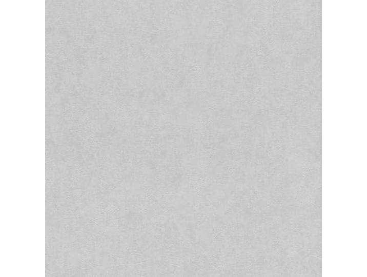 Rasch Tapete 285123 - Einfarbige Tapete mit feiner Putzstruktur in Grau, Unitapete - 10,05m x 0,53m (LxB)