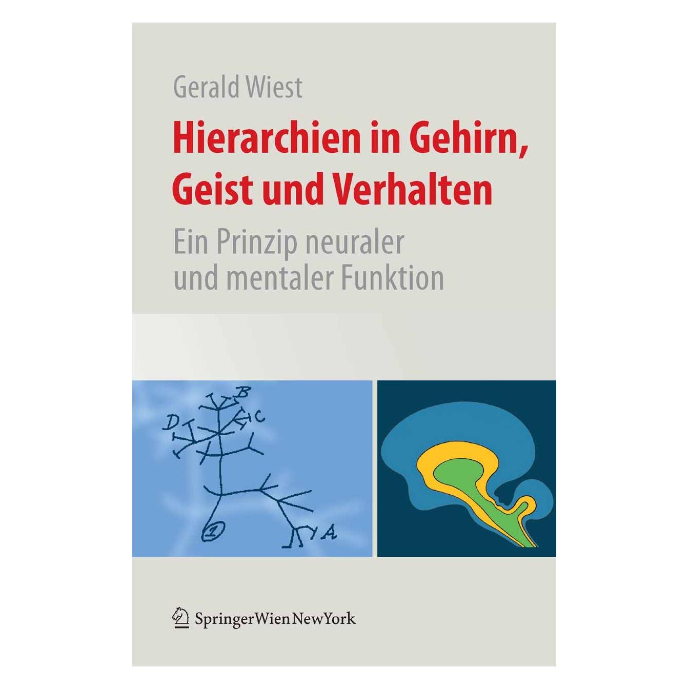 Springer Hierarchien in Gehirn, Geist und Verhalten (Deutsch, Gerald Wiest, 2009) (9783211991329)