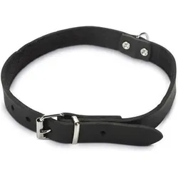 Beeztees BZ LEDERHALSBAND SCHWZ 57X20 (Hund, Allgemein), Halsband + Leine