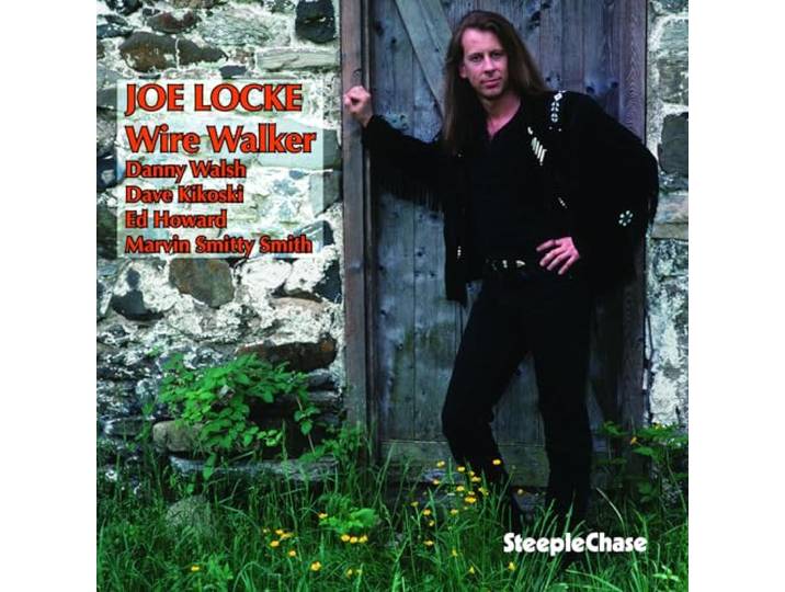 Joe Locke - Wire Walker
