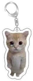 DynamicDeals Funny Cat Meme Keychain Cute Bag Charm Gift For Cat Lovers & Best Friends style 9