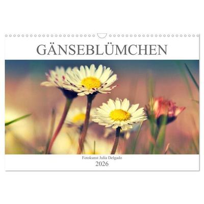 Gänseblümchen Poesie (Wandkalender 2026 DIN A3 quer), CALVENDO Monatskalender