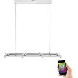 Paul Neuhaus, Q-FISHEYE, LED-Pendelleuchte, silber, dimmbar, Smart Home