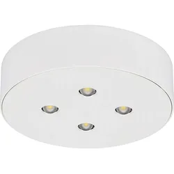 Ceag Notlichtsysteme Sicherheitsleuchte 3514 LED CG-S