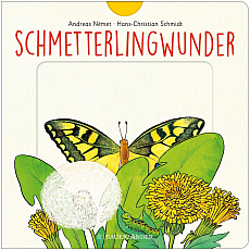 Fischer Sauerländer GmbH Schmetterlingwunder 304185