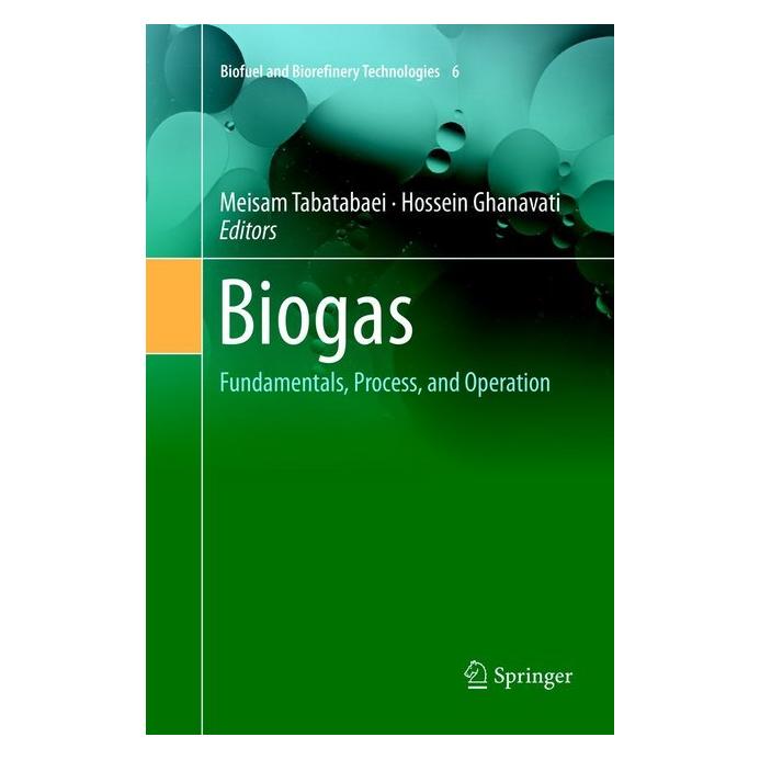 Springer Biogas (Englisch, Softcover, Hossein Ghanavati, Meisam Tabatabaei) (56067815)