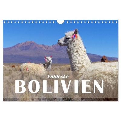 Entdecke Bolivien (Wandkalender 2026 DIN A4 quer), CALVENDO Monatskalender