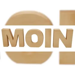 Erst-Holz Buchstaben Buche Echtholz Deko MOIN Schriftzug Holzbuchstaben 40.11-14