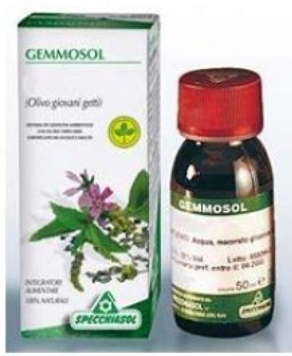 SPECCHIASOL Srl GEMMOSOL 15 CARPINO 50ML MG