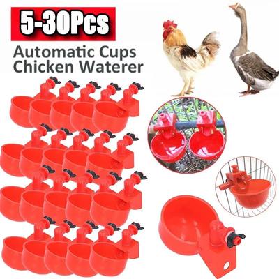 Inspired Finds Automatic Poultry Drinking Cups Easy Install Chicken & Duck Water Dispenser System 5 Pcs