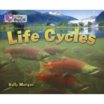 Life Cycles, Taschenbuch von Sally Morgan, HarperCollins, 978-0-00-733640-1