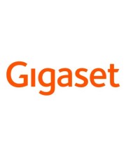 Gigaset PRO Virtual Integrator Lizenz Security-Lizenzen (S30852-H2716-X1)