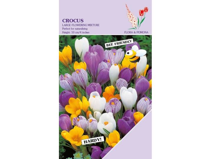 Krokus mix grootbloemig 18 bollen