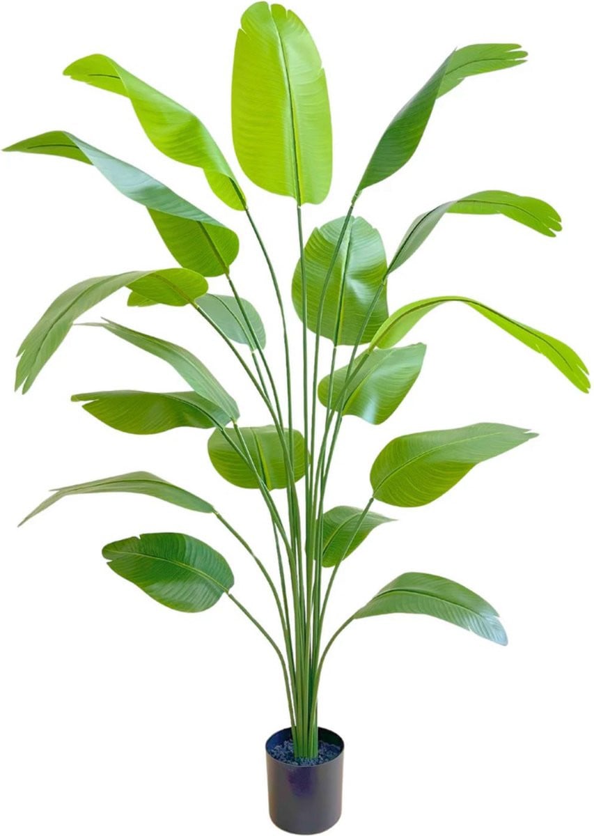 PrettyPlants Kunst Bananenplant Groen, 180 cm