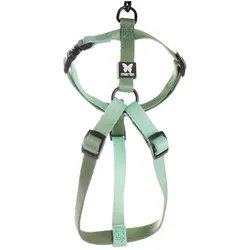 Martin Sellier XS (XS, Hund, Spazieren), Halsband + Leine