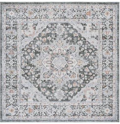 SAFAVIEH Scarlett Sorne Transitional Rug
