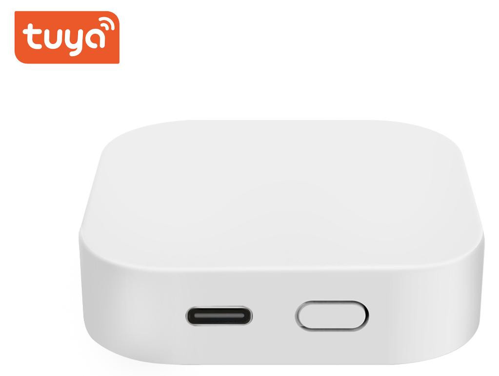 BOT Multifunctionele WiFi-gateway met ZigBee en Bluetooth voor remote bediening, Tuya GBZ2